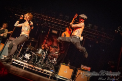 53308929_2137989636269881_5342825568310132736_n